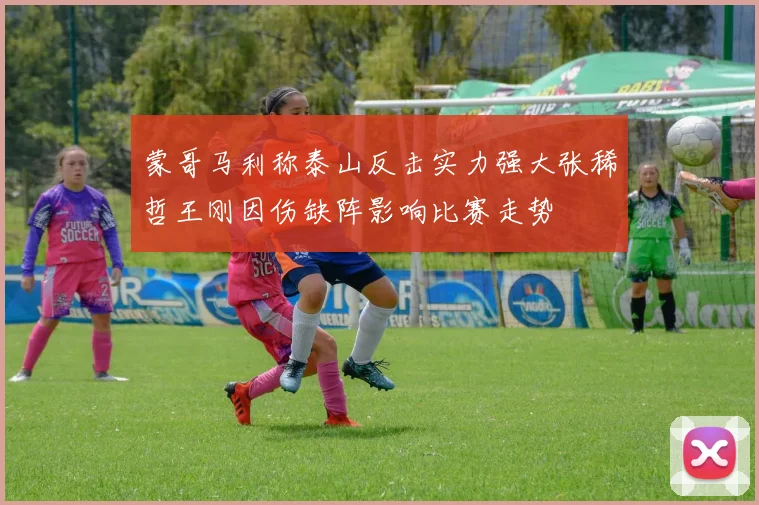 蒙哥马利称泰山反击实力强大张稀哲王刚因伤缺阵影响比赛走势