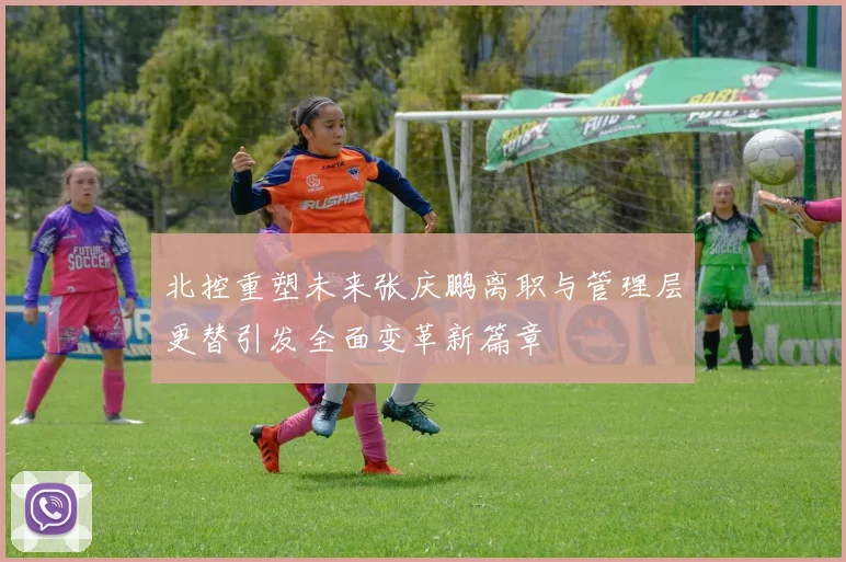 北控重塑未来张庆鹏离职与管理层更替引发全面变革新篇章